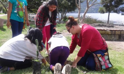 Miss Pilar and some Gr 5/6 girls planting trees!