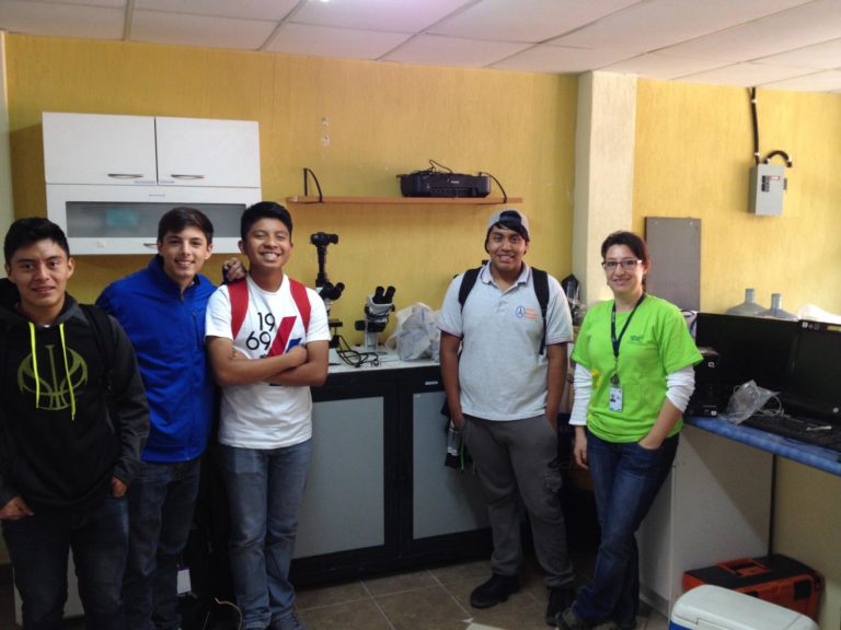 Spring’s project based learning activities